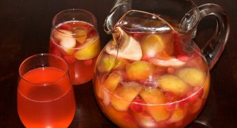 Apple & Cranberry Kompot