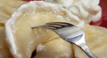 Fresh Cheese Dumplings (Varenyky with Cheese)