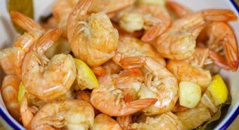 Boiled Shrimps