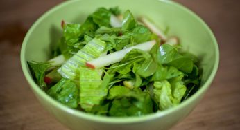 Apple, Sorrel and Lettuce Salad