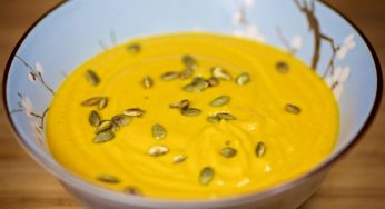 Butternut Squash Soup Puree